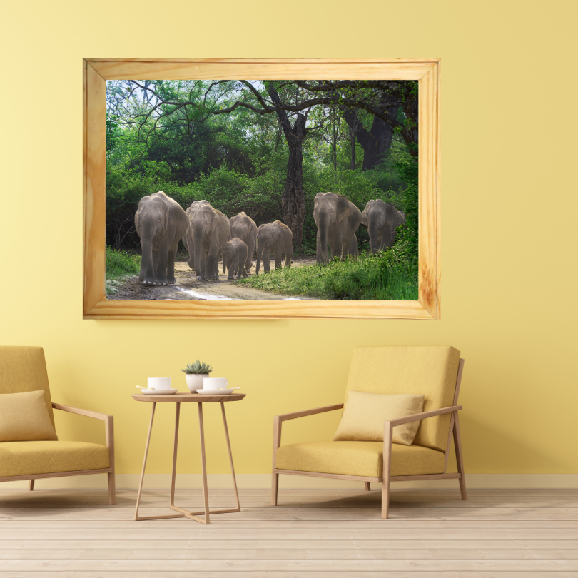 The Herd's Path - Asian Elephant Family, Wooden Photo Art | Limited Edition Wildlife Print