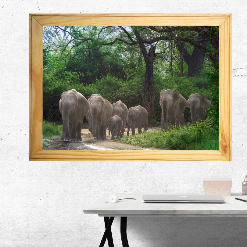 Asian elephant herd with calves walking through forest trail — Wildgraphy fine art wildlife print in wooden frame
