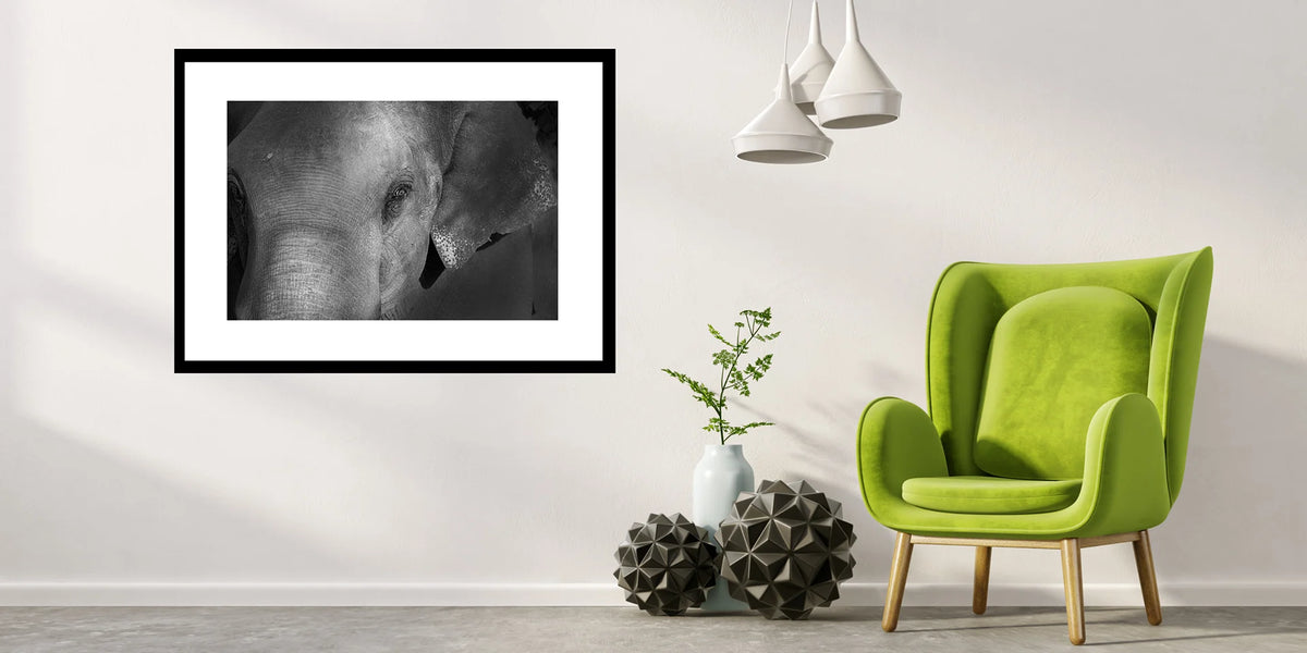 Grace in the Shadows — Elephant, Fine Art Photography | Limited Edition
