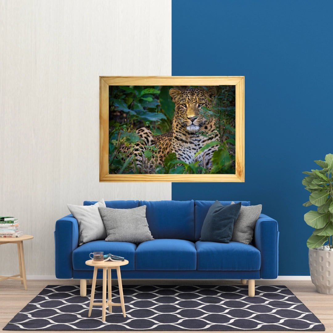 Mowgli: The Sunlit Phantom — Leopard, Fine Art Photography | Limited Edition