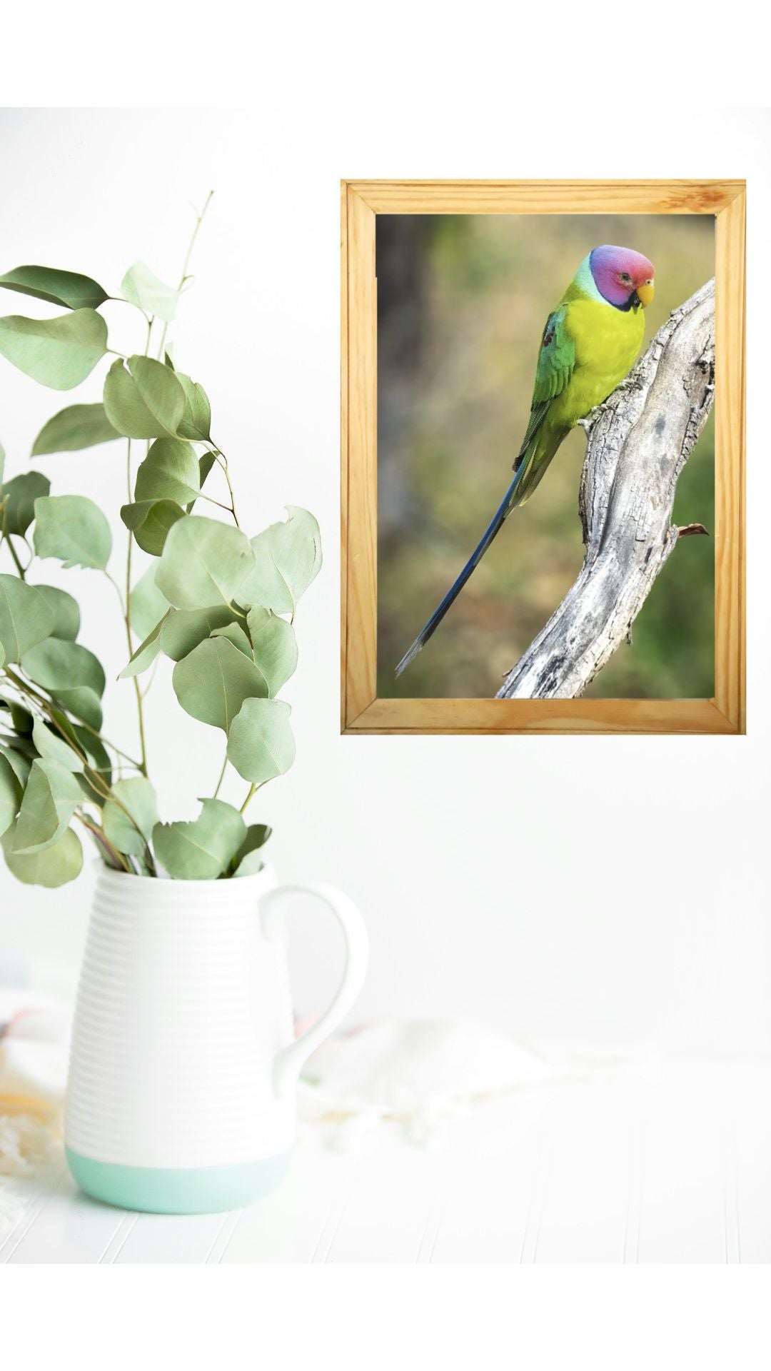 The Hidden Gem of Panna — Parakeet, Fine Art Photography | Limited Edition
