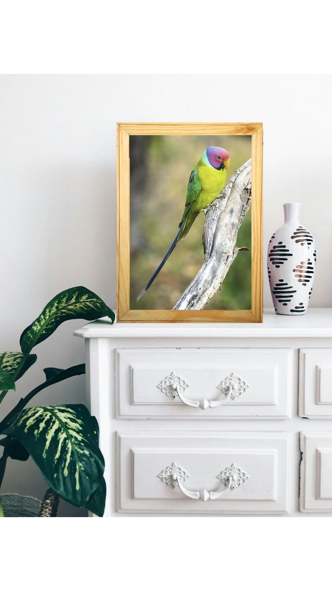 The Hidden Gem of Panna — Parakeet, Fine Art Photography | Limited Edition