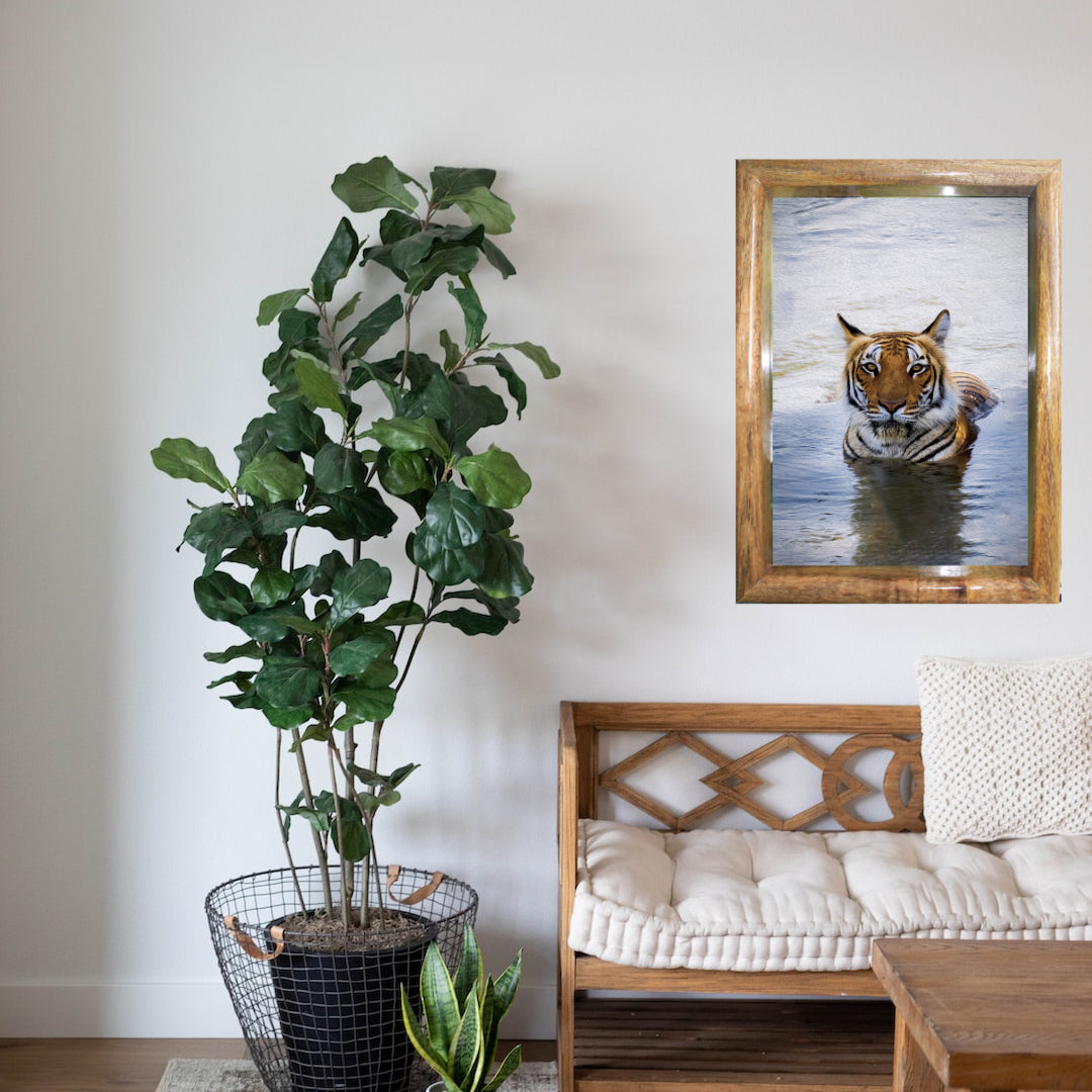 Royal Bengal Tiger in Water — Tiger, Fine Art Photography | Limited Edition